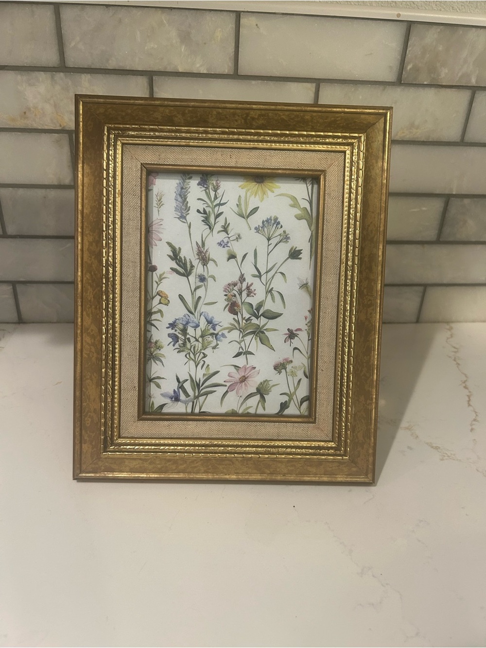 Paragon Garden Study botanical print Vintage burnished gold picture frame 5”x7”